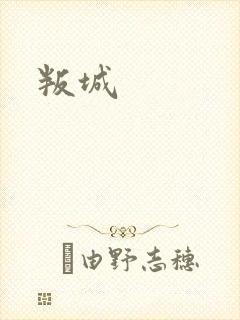 叛城封面