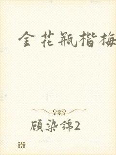 金花瓶楷梅花2封面