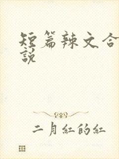 短篇辣文合集小说