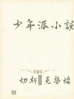 少年派小说