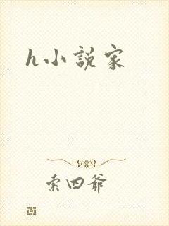 h小说家封面