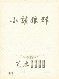 小说狼群