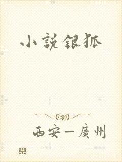 小说银狐