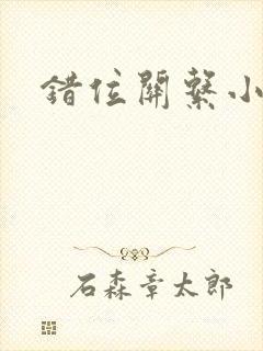 错位关系小说
