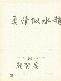 柔情似水赵雅儿封面
