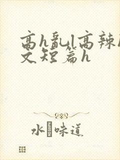 高h乱l高辣h文短篇h封面