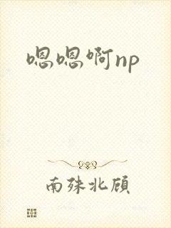嗯嗯啊np