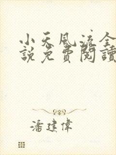 小天风流全集小说免费阅读