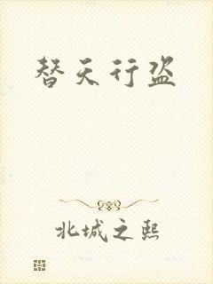 替天行盗