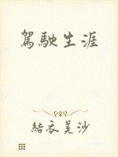 驾驶生涯