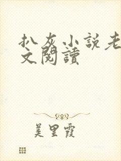 扒灰小说老马全文阅读