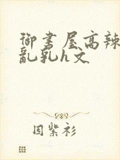 御书屋高辣h文乱乳h文