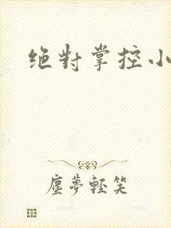 绝对掌控小说