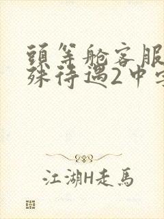 头等舱客服的特殊待遇2中字
