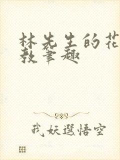 林先生的花式管教笔趣