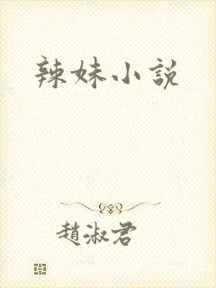 辣妹小说封面