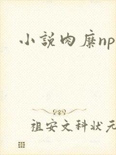 小说肉糜np