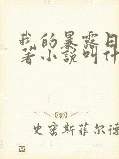 我的暴露日记原著小说叫什么