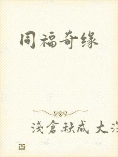同福奇缘封面