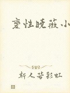 变性晓薇小说