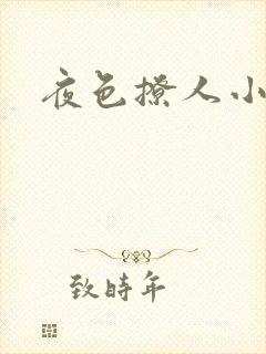 夜色撩人小说