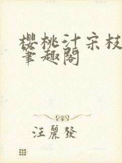 樱桃汁宋枝江野笔趣阁