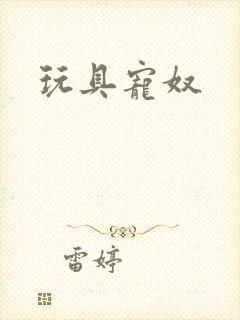 玩具宠奴