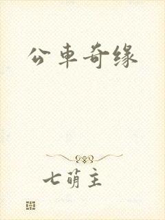公车奇缘