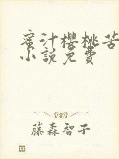 蜜汁樱桃苦咖啡小说免费