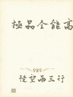 极品全能高手封面