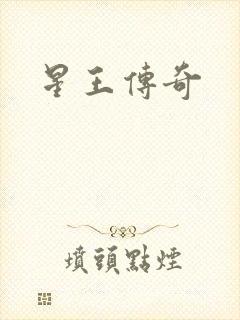 星王传奇