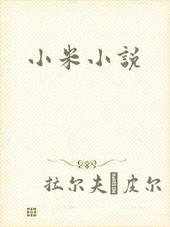 小米小说封面