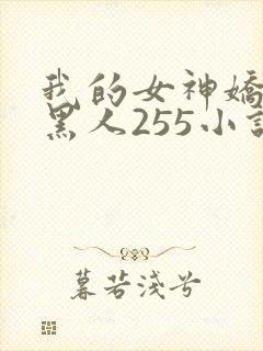 我的女神娇妻与黑人255小说封面