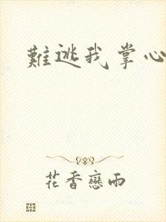 难逃我掌心封面