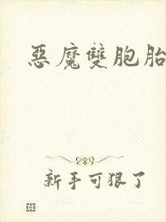 恶魔双胞胎