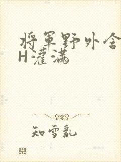 将军野外含公主H灌满封面