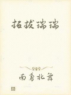 拓拔瑞瑞