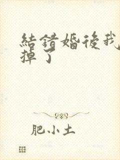 结错婚后我离不掉了封面