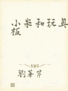 小米和玩具店老板