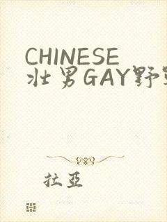 CHINESE壮男GAY野战强迫TUBE封面