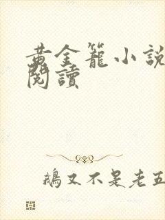 黄金笼小说免费阅读