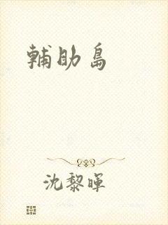 辅助岛封面