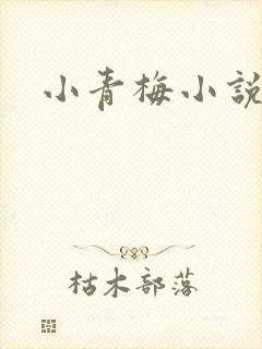 小青梅小说