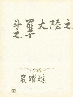 斗罗大陆之七怪之子封面