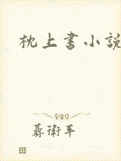枕上书小说