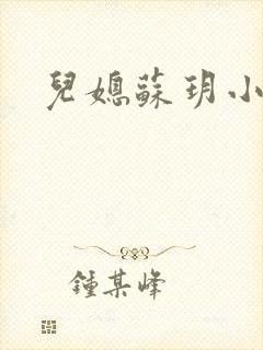 儿媳苏玥小说封面