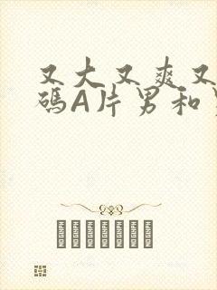 又大又爽又黄无码A片男和男