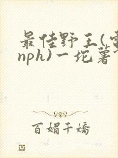最佳野王(电竞nph)一坨薯饼
