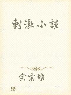刺激小说
