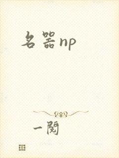 名器np封面